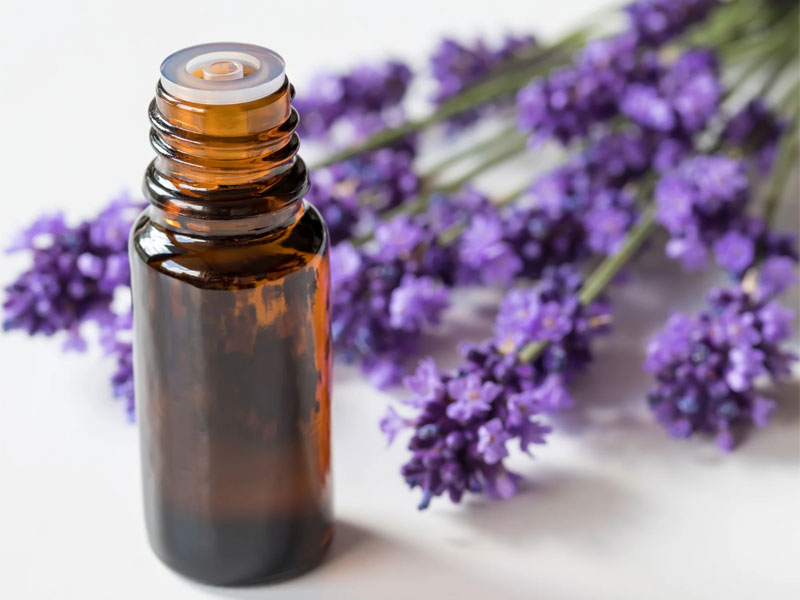 Lavender Essential Oil Bottle