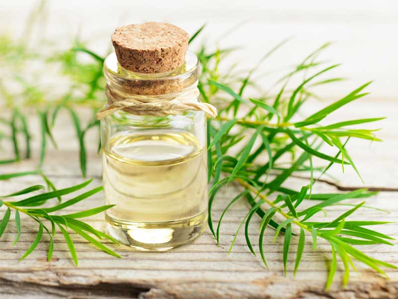 Tea Tree Essential Oil Bottle